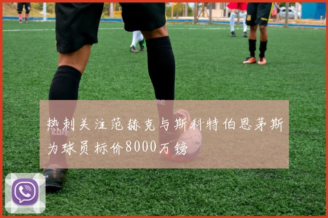热刺关注范赫克与斯科特伯恩茅斯为球员标价8000万镑
